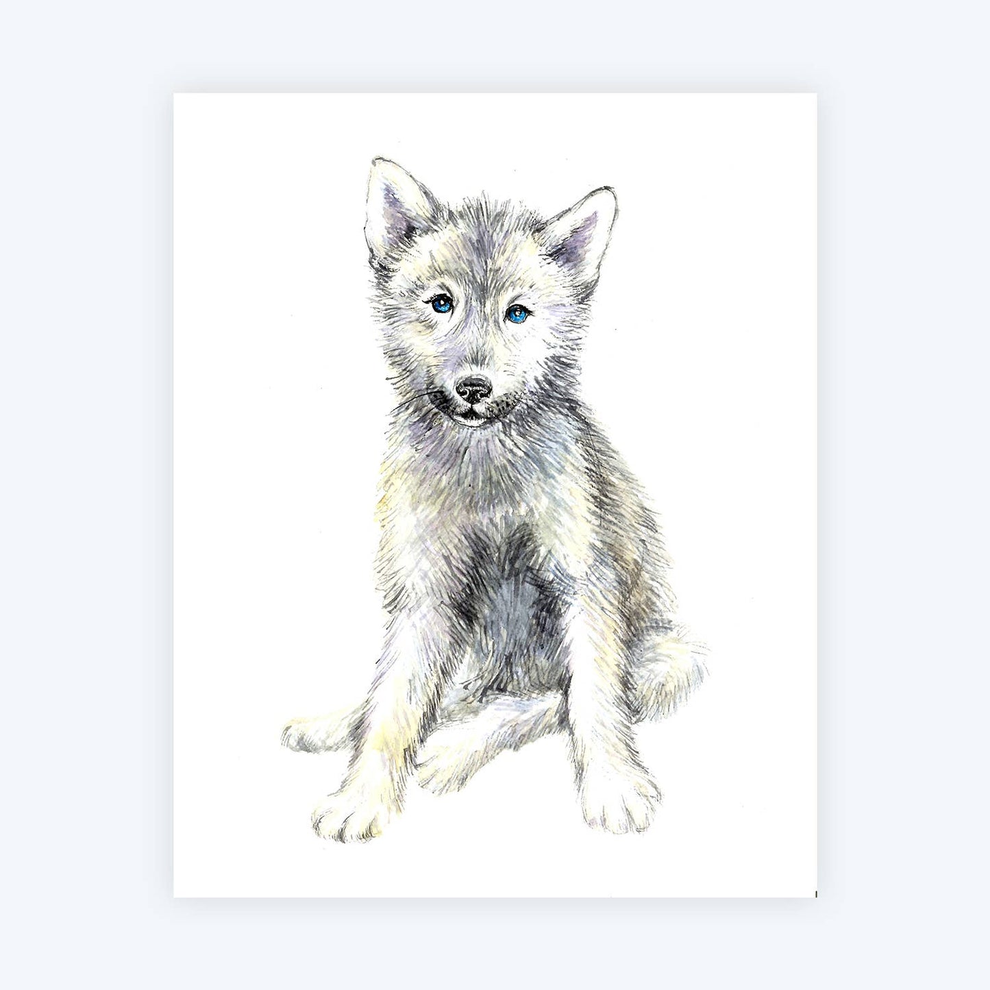Baby Wolf Art Print