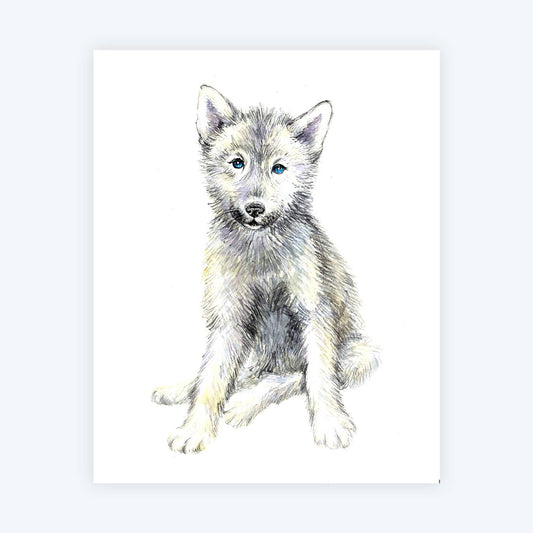 Baby Wolf Art Print