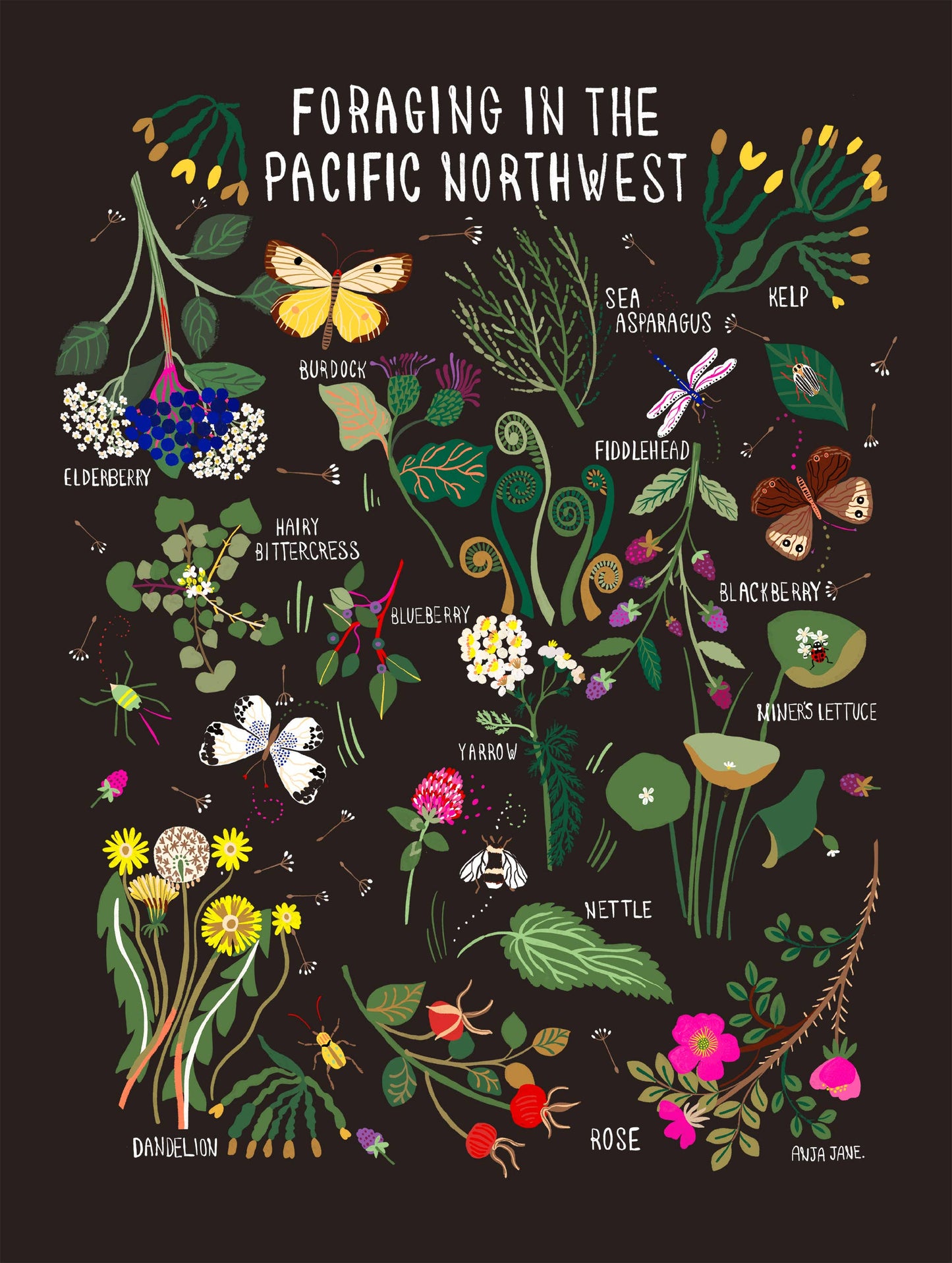 Foraging in the Pacific Northwest Art Print