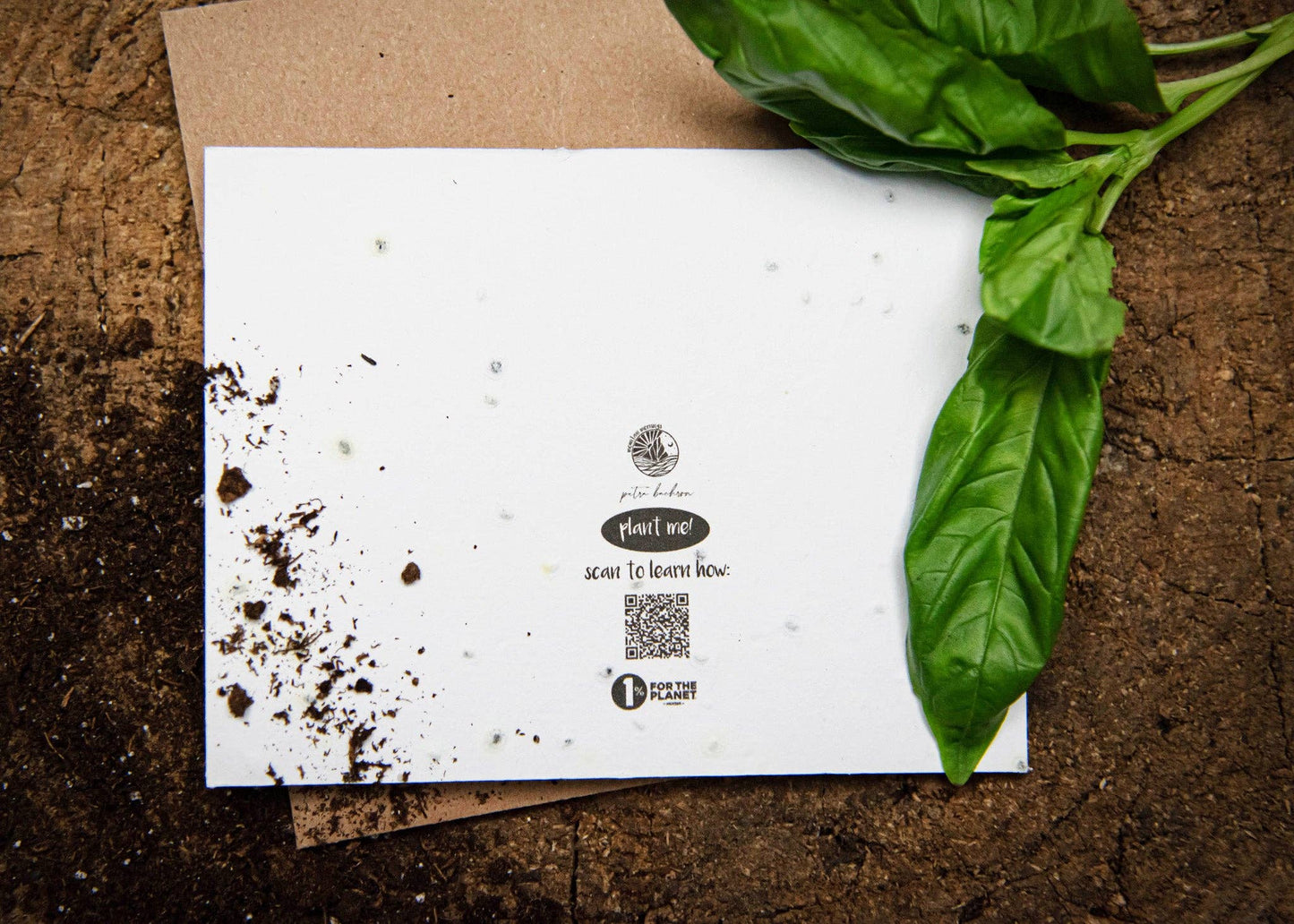 Another Ride Around the Sun, Plantable Seed Greeting Card