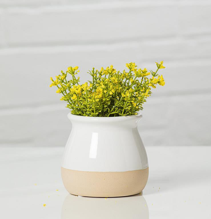 Shiny and Matte Vase