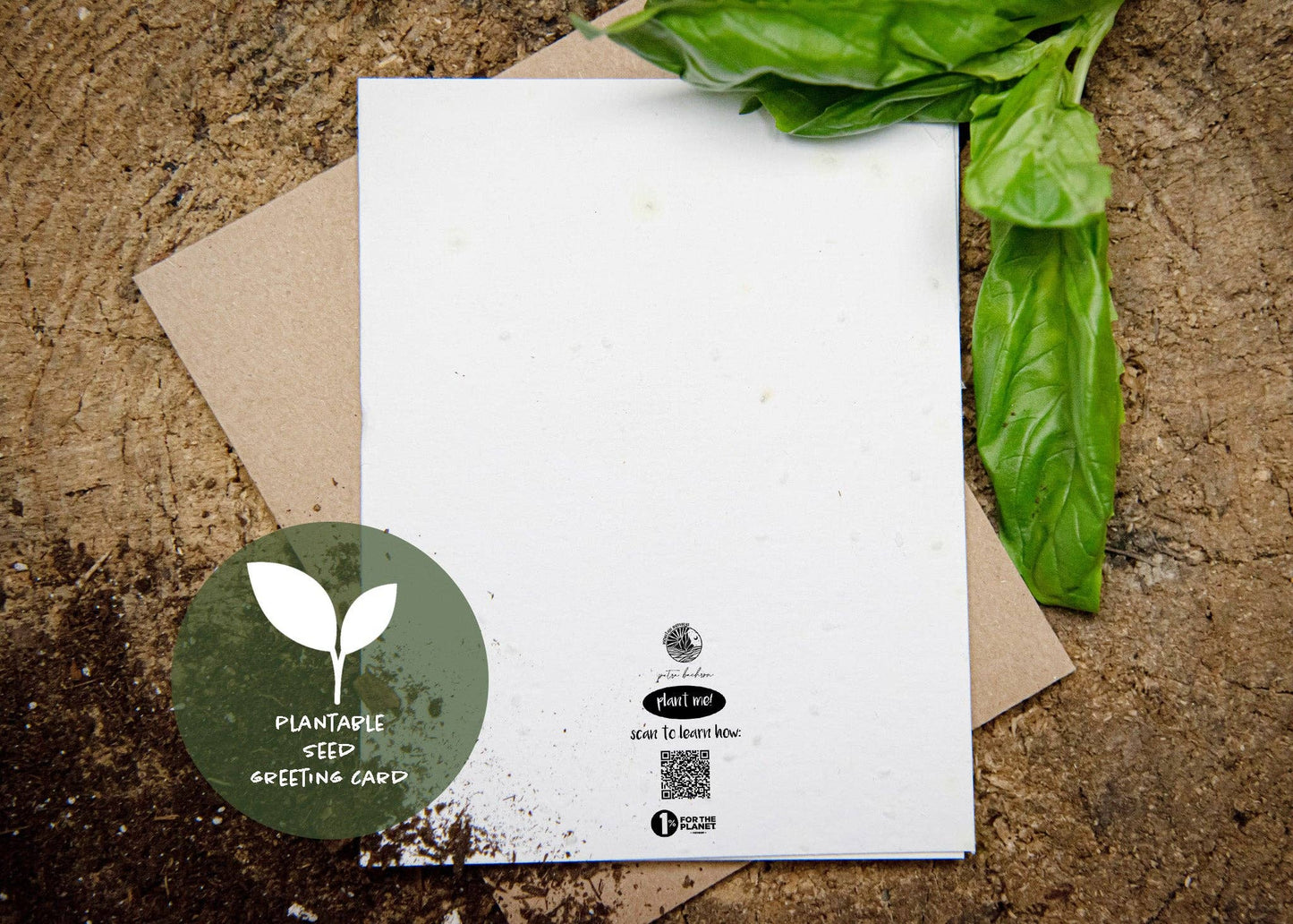 Birthday Wishes for a Guy for Fishes, Plantable Seed Card