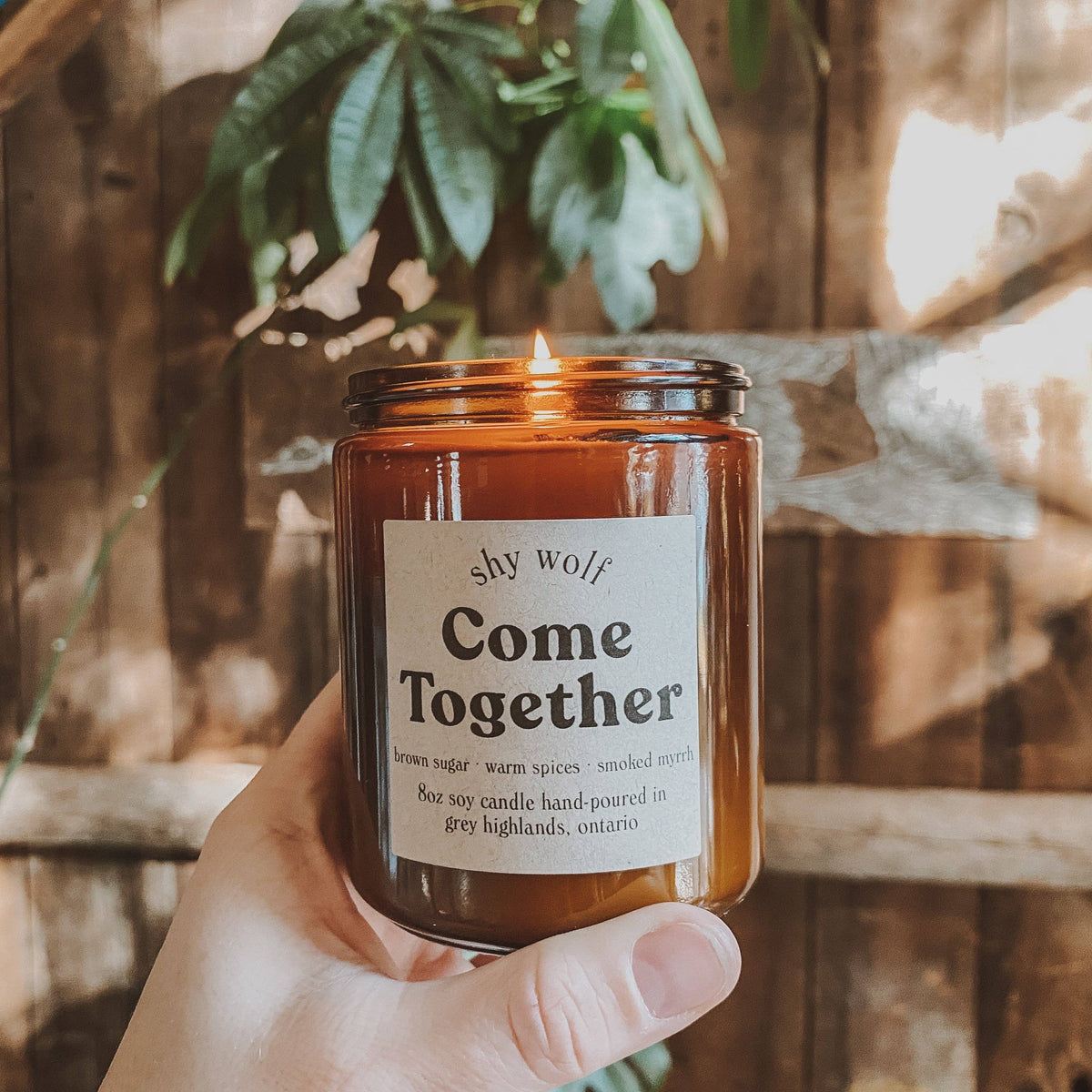 Come Together