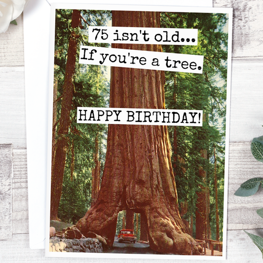 75 Isn't Old... If You're A Tree. HAPPY BIRTHDAY!