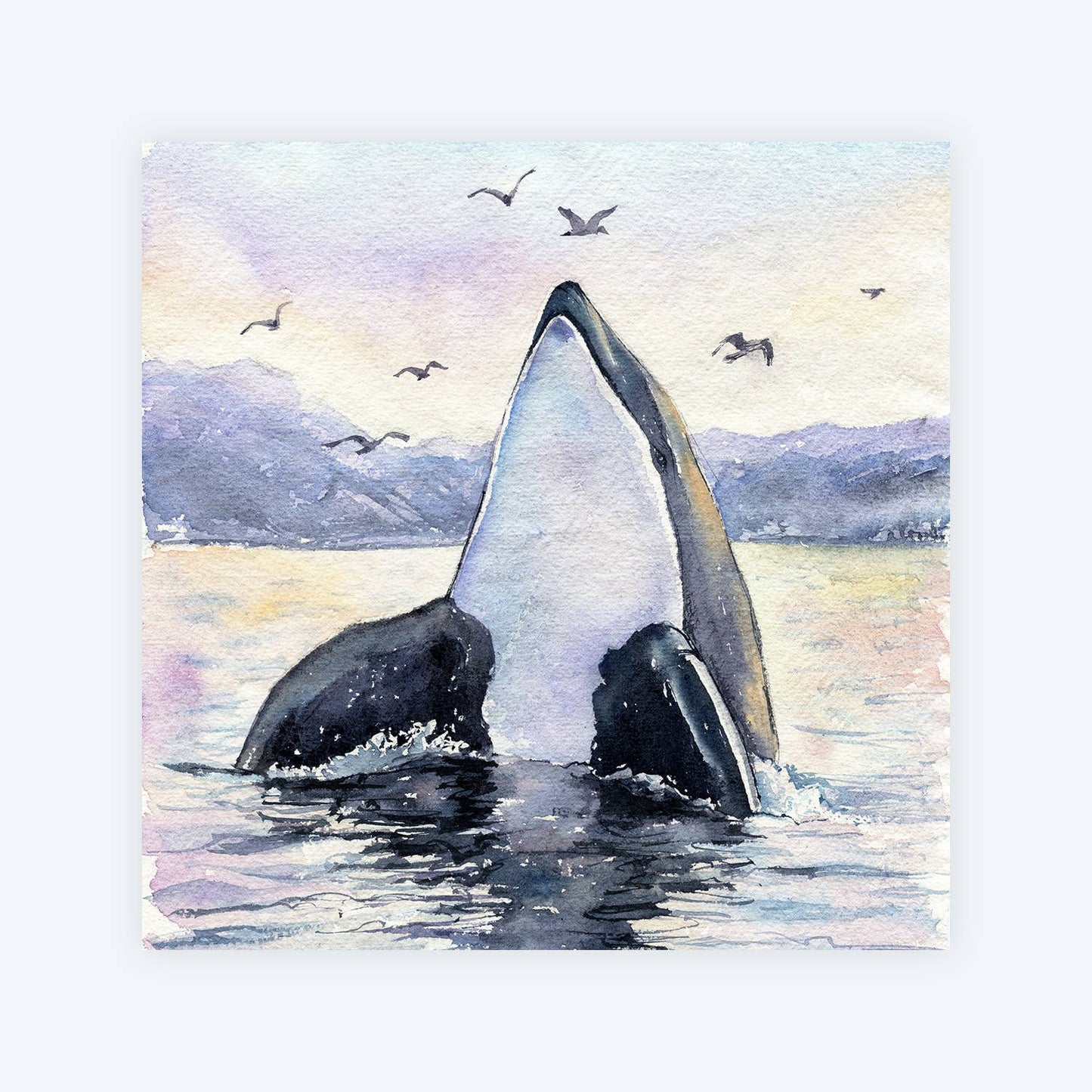Freja - Orca Killer Whale Art Print