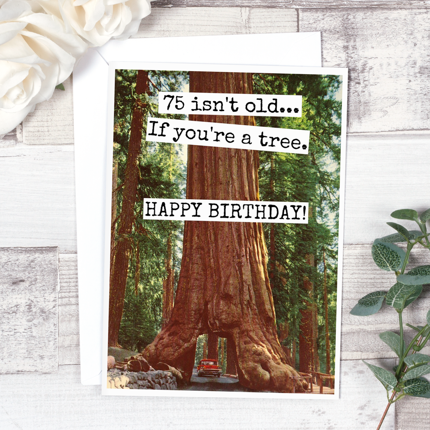 75 Isn't Old... If You're A Tree. HAPPY BIRTHDAY!