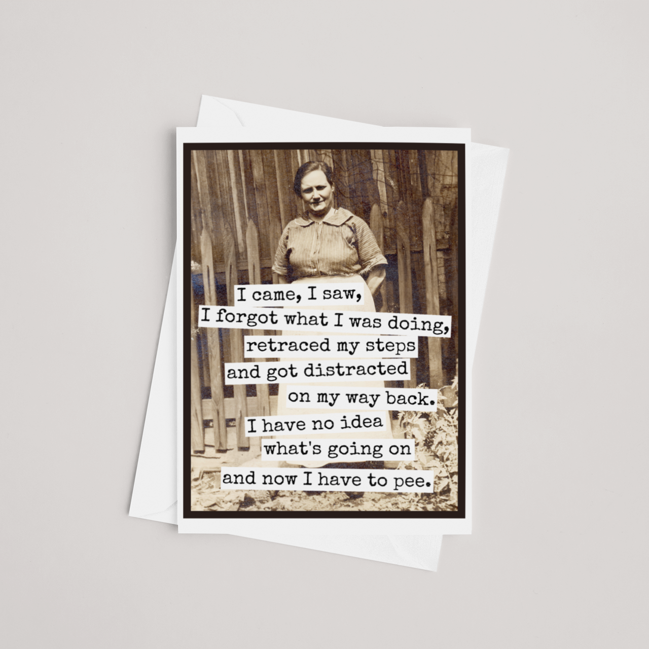 Funny Greeting Card. I Came, I Saw, I Forgot What I Was Doin