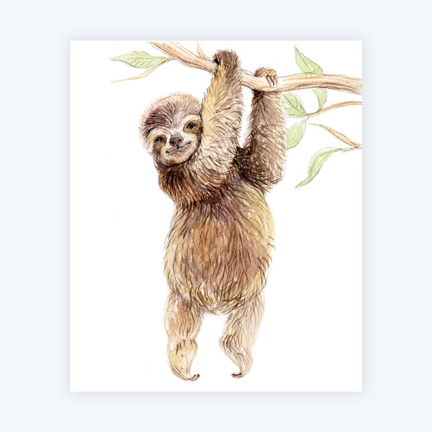 Baby Sloth Art Print
