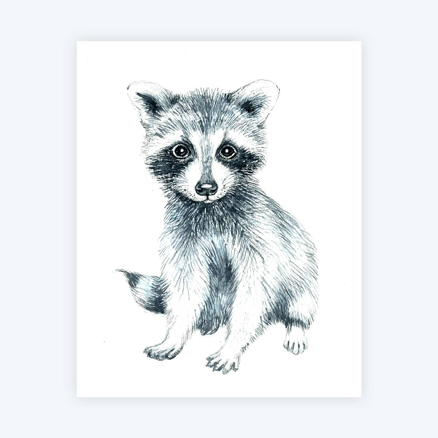 Baby Racoon Art Print
