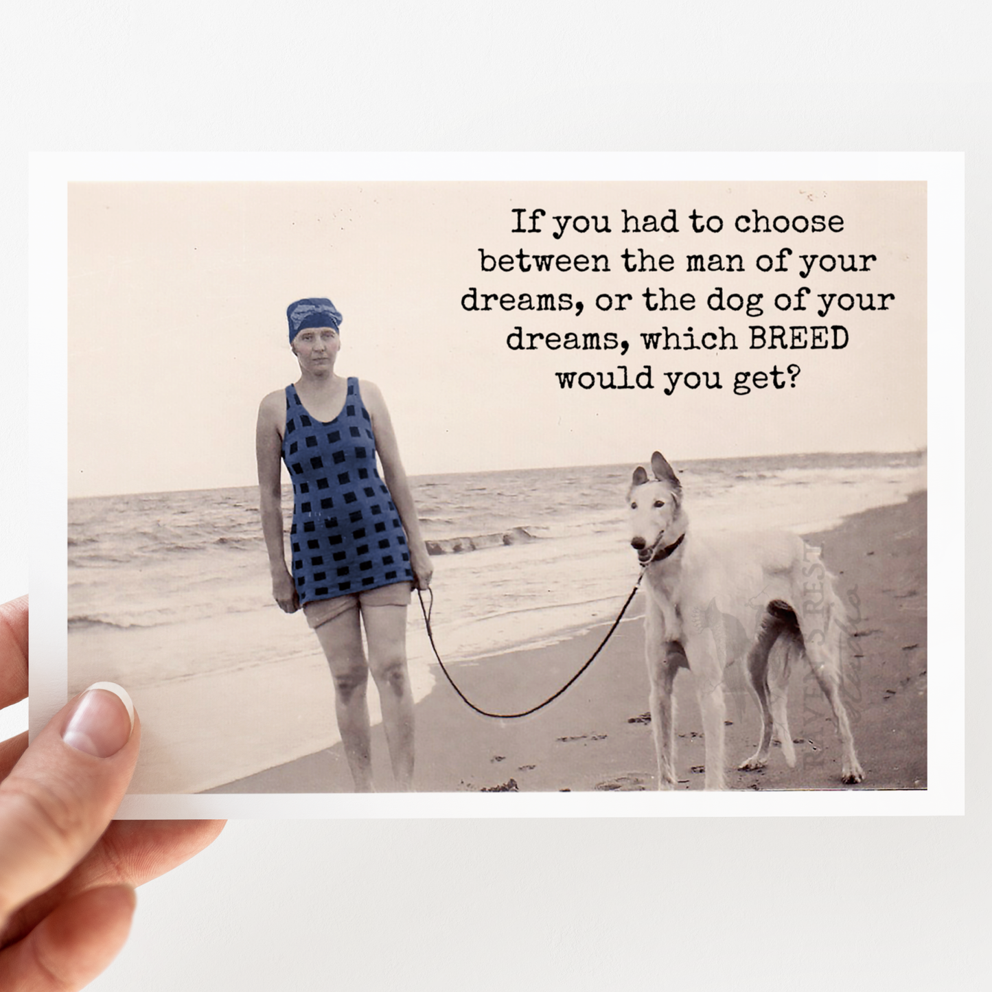 Card. If You Had To Choose Between The Man of Your Dreams...