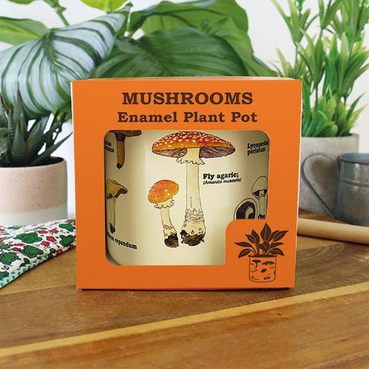 Plant Pot Mushrooms
