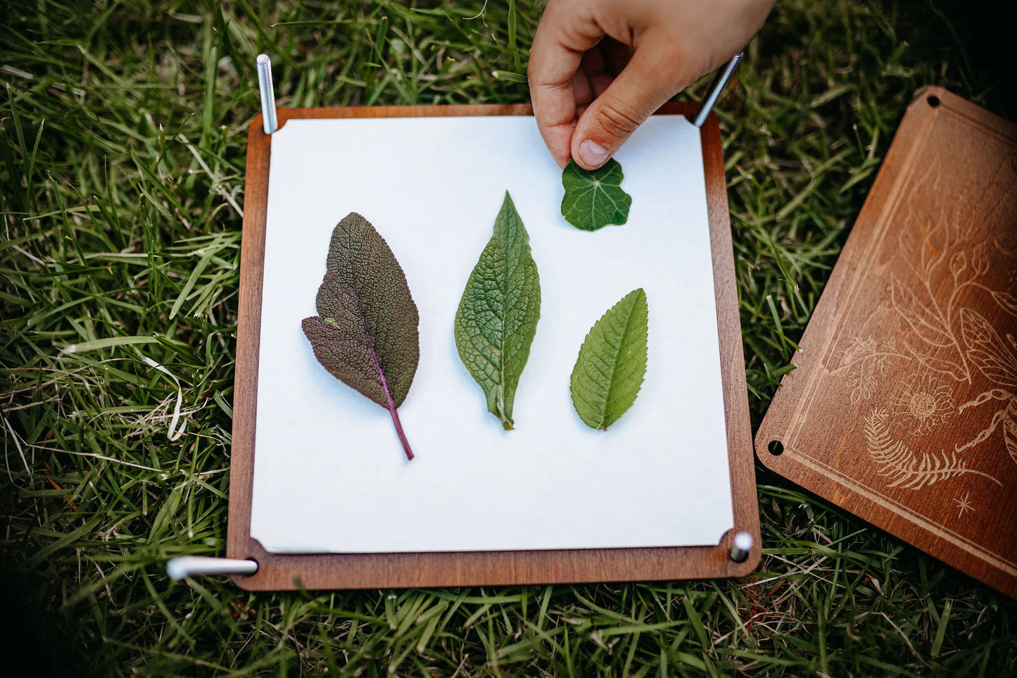 Botanical Flower Press Kits