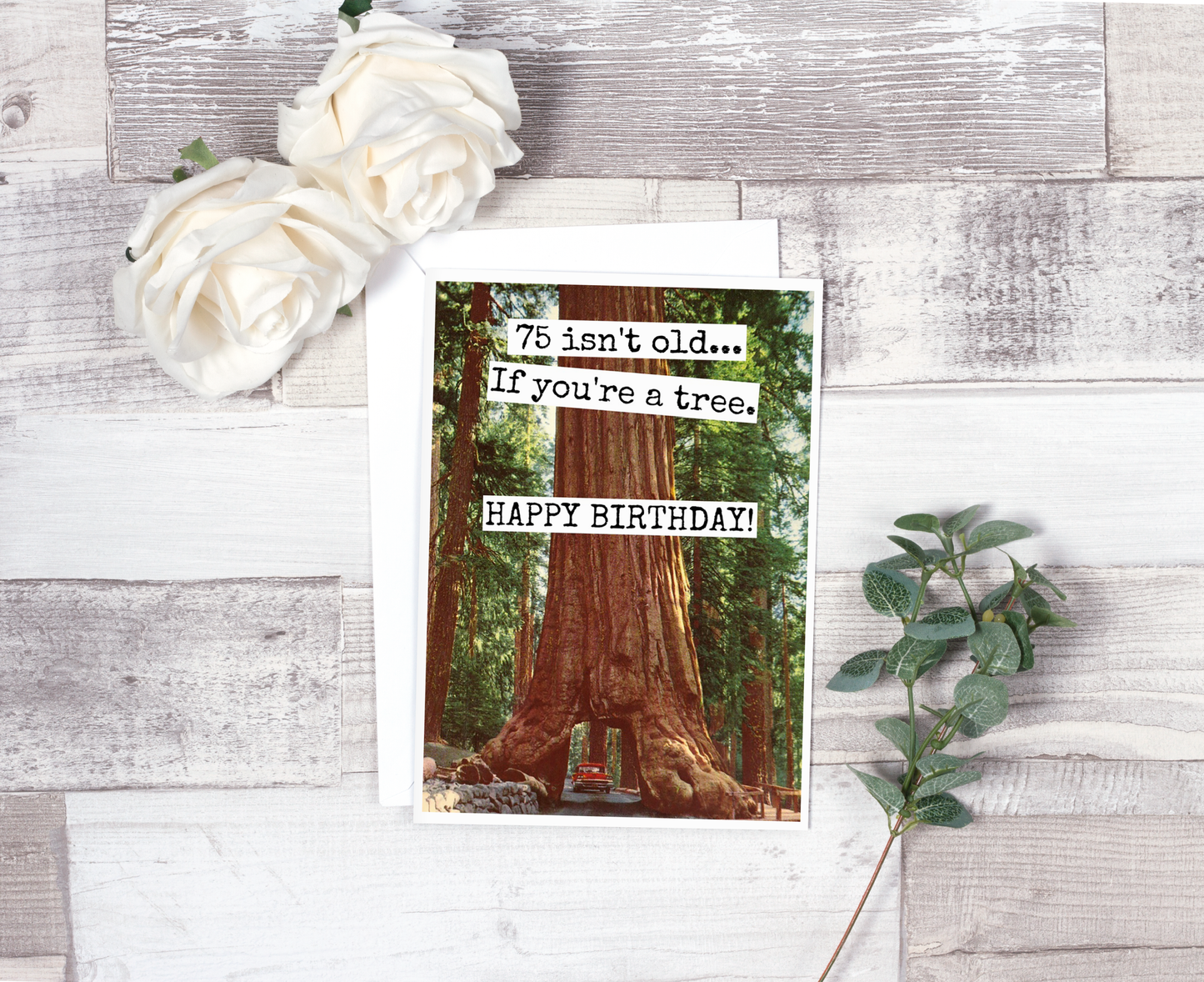 75 Isn't Old... If You're A Tree. HAPPY BIRTHDAY!