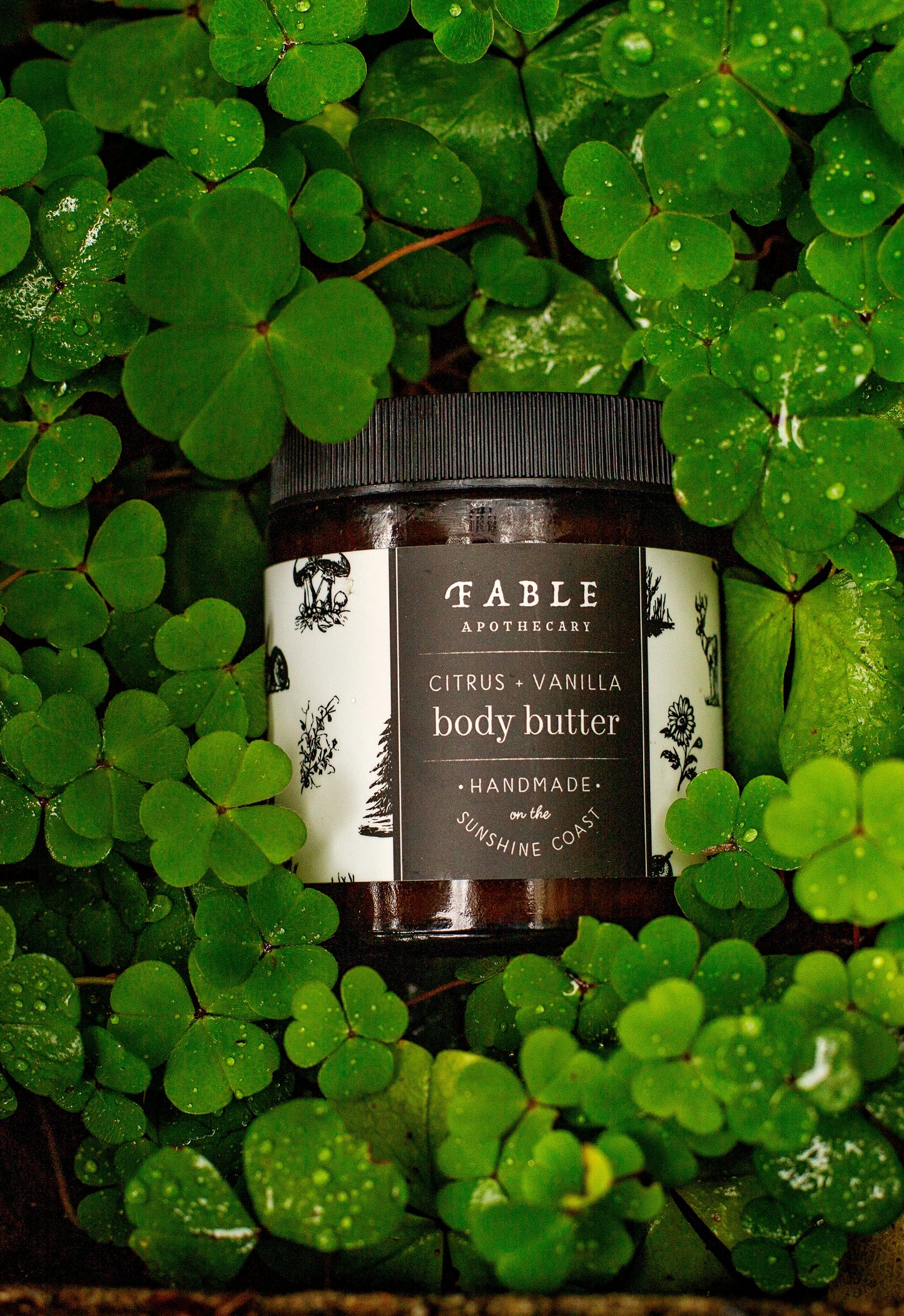Body Butter Citrus Vanilla