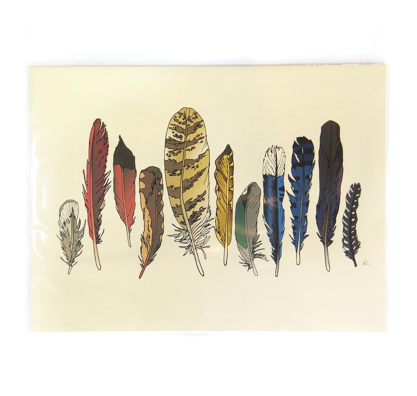 Rainbow Feathers Print - 12x16 inches
