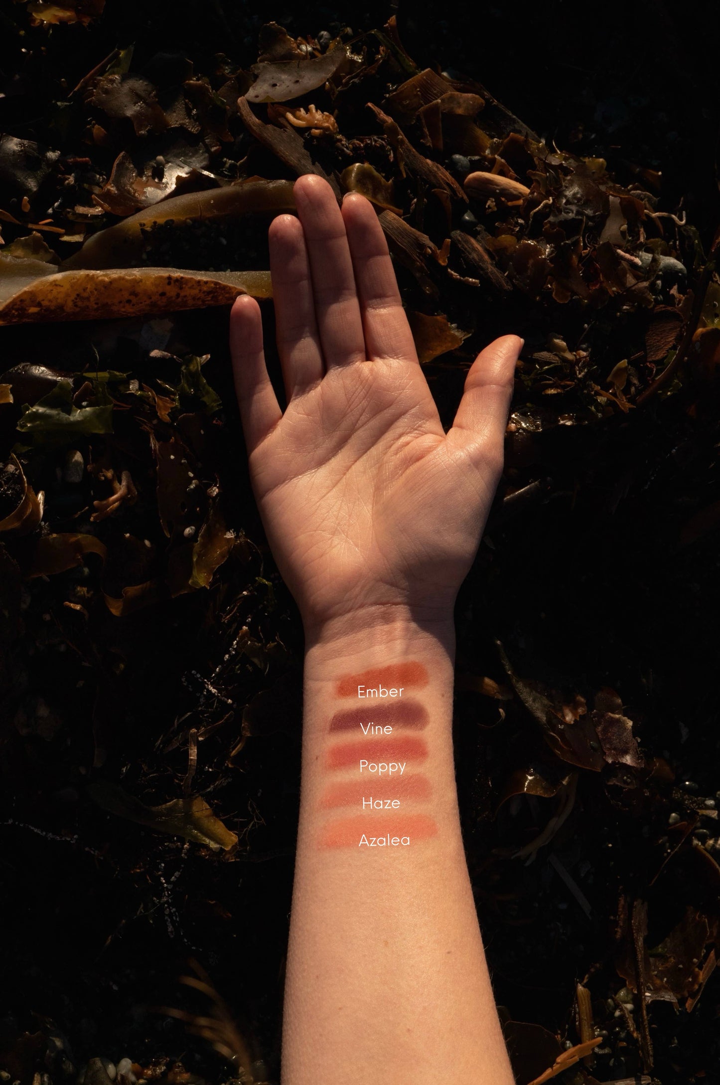 Tallow Lip & Cheek Tint Makeup