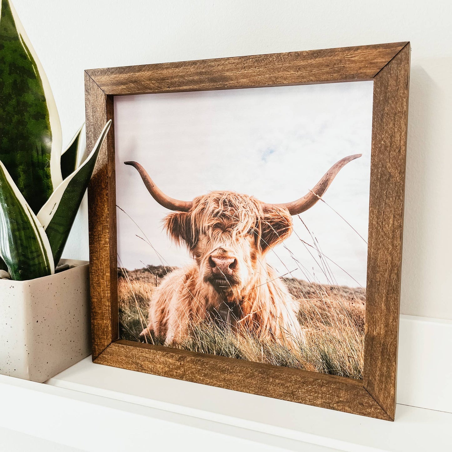 Highland Cow Framed Wooden Sign-knotty design