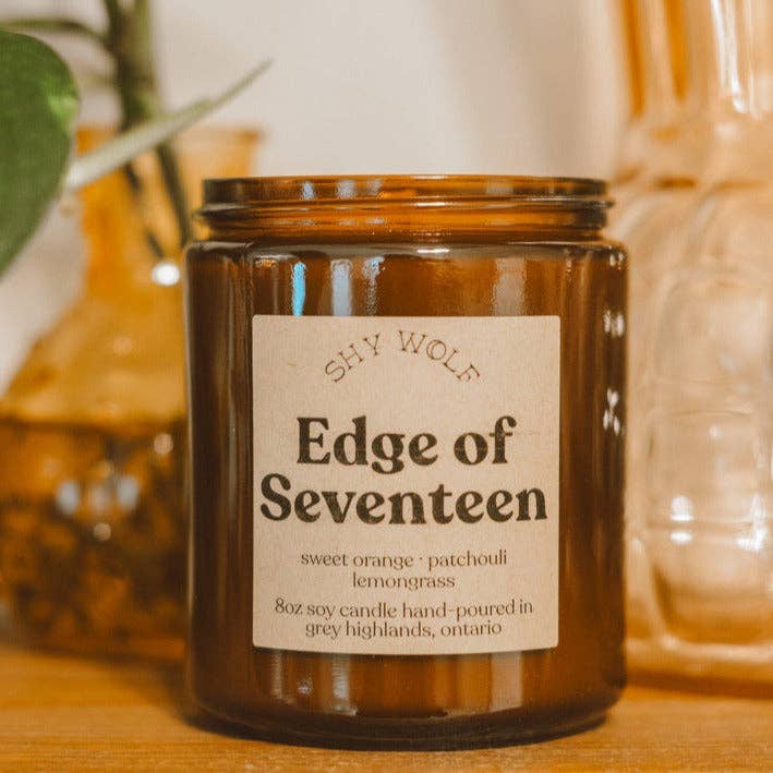 Edge of Seventeen