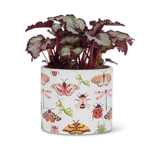 All Over Bugs Plant Pot