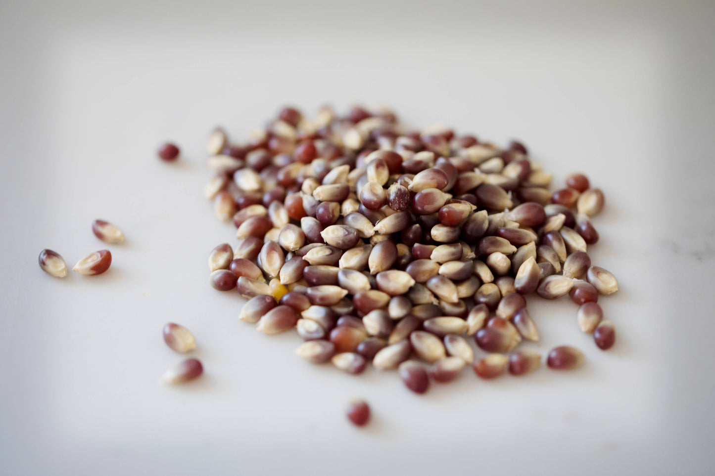 14oz Bottle of Purple Popcorn