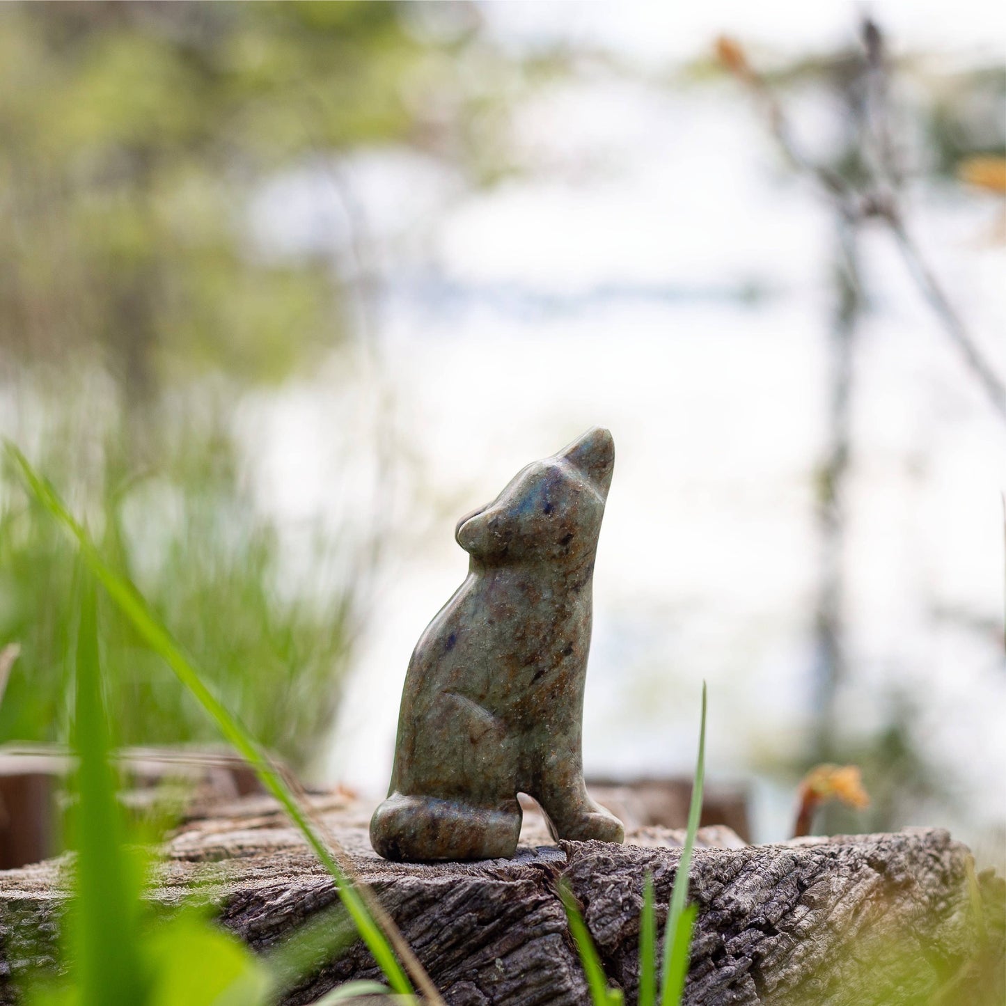 Bear & Wolf Soapstone Carving Kit