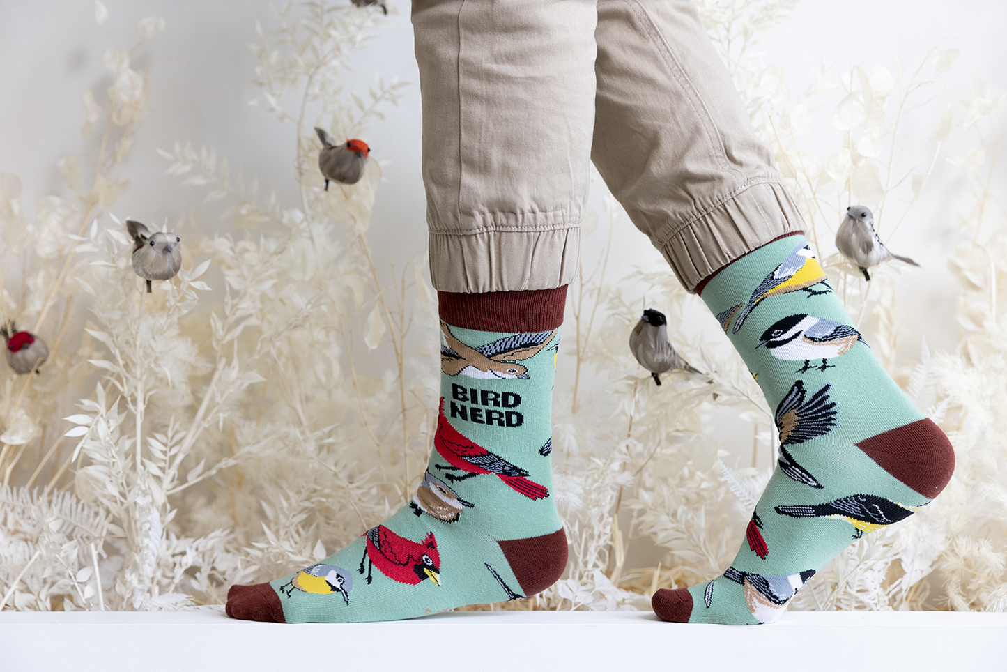 Bird Nerd Socks - M/L (Men)