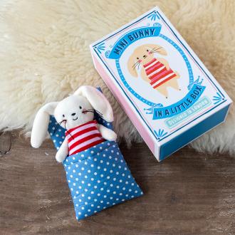 Mini Bunny in a little box