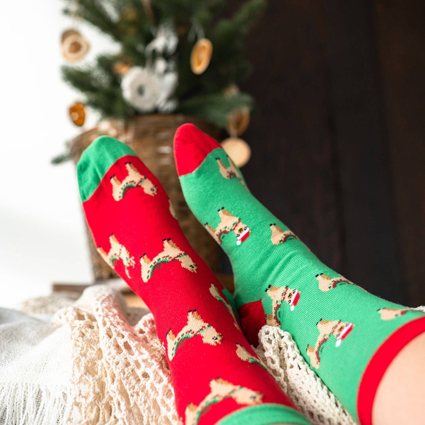 Women's Ugly Christmas Socks | Fa La Llama | Holiday Gifts