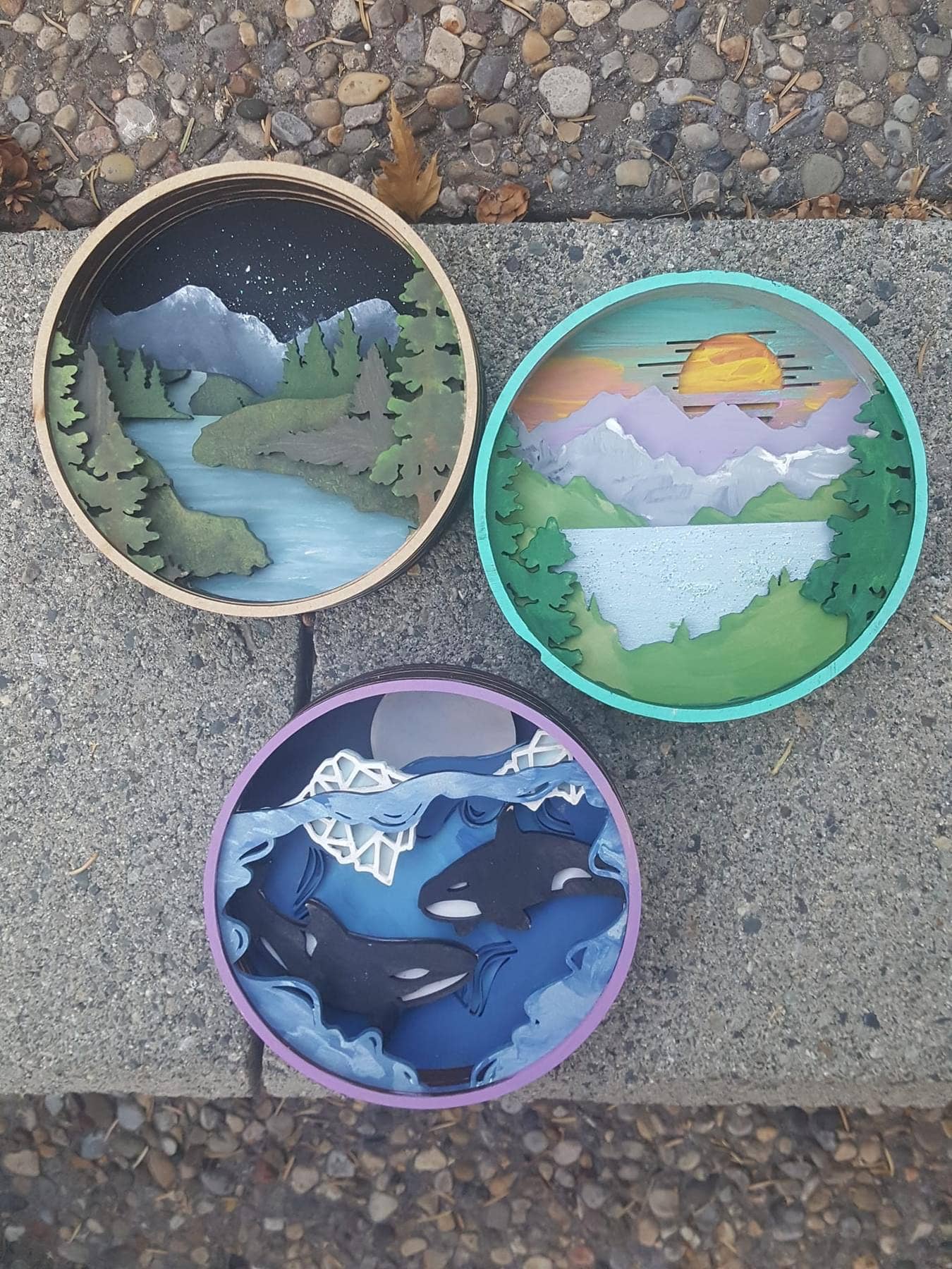 Orca Shadow Box Kit
