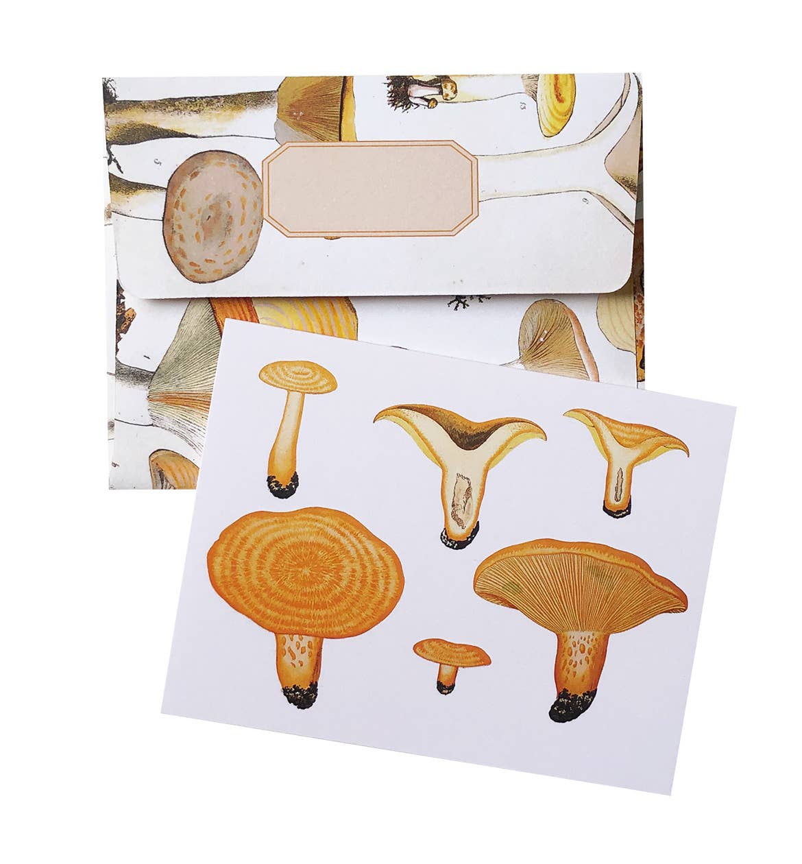 Boxed Set of 8 Vintage Mushroom Greeting Cards