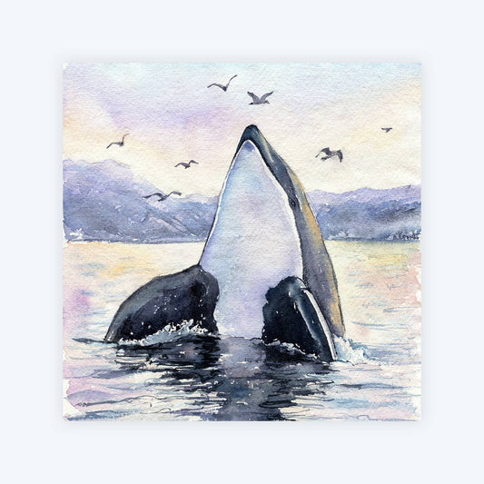 Freja - Orca Killer Whale Art Print