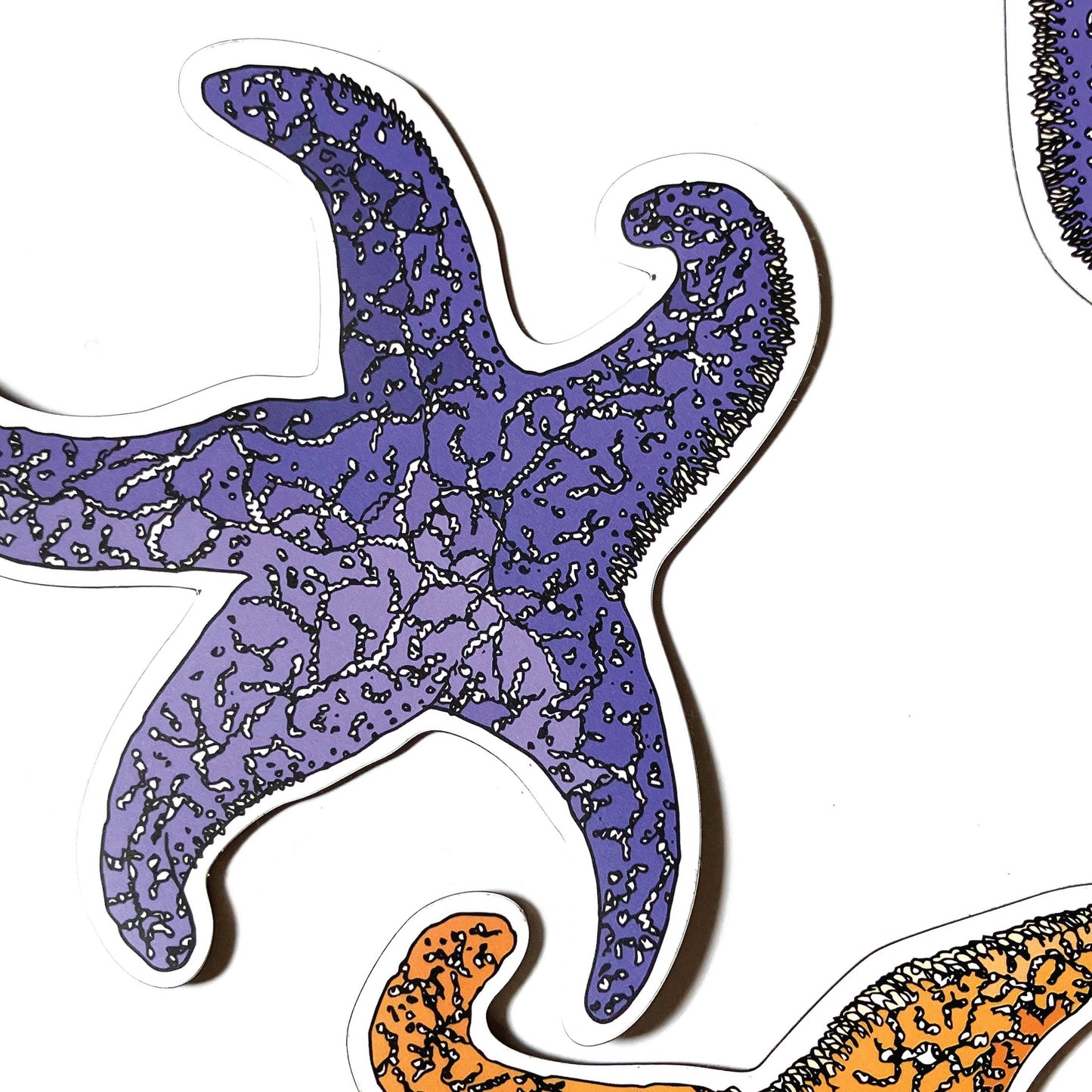 Purple Sea Star Magnet