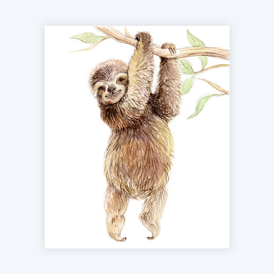 Baby Sloth Art Print