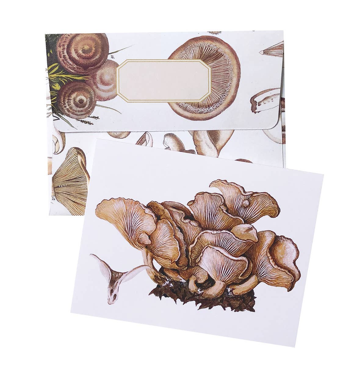 Boxed Set of 8 Vintage Mushroom Greeting Cards