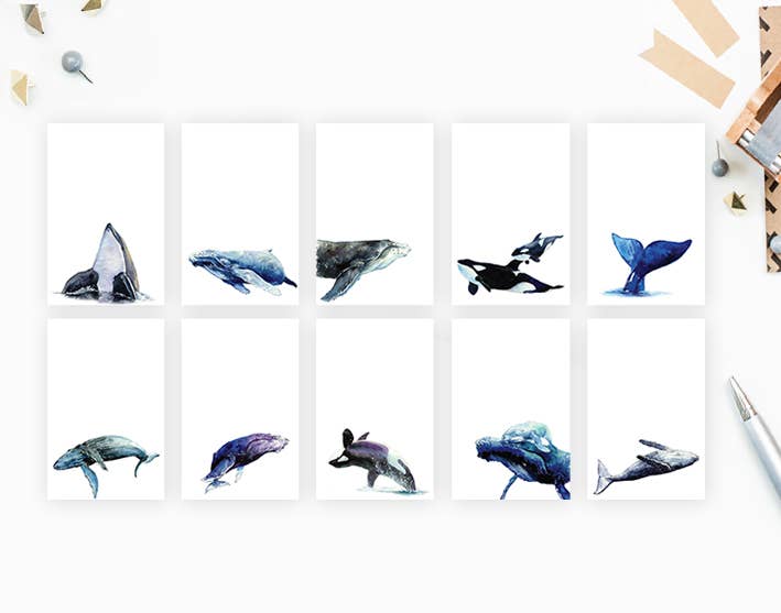 Notepad - 10 Whales Blank Pad