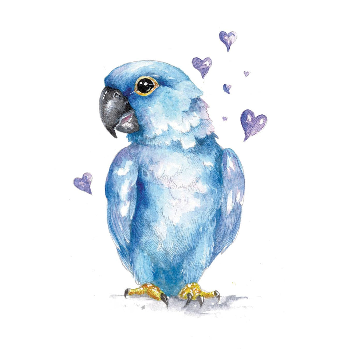 So Much Love Watercolor Workbook By Willow Wolfe