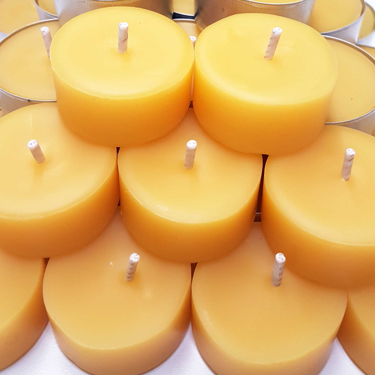 Bees Wax 6 pack