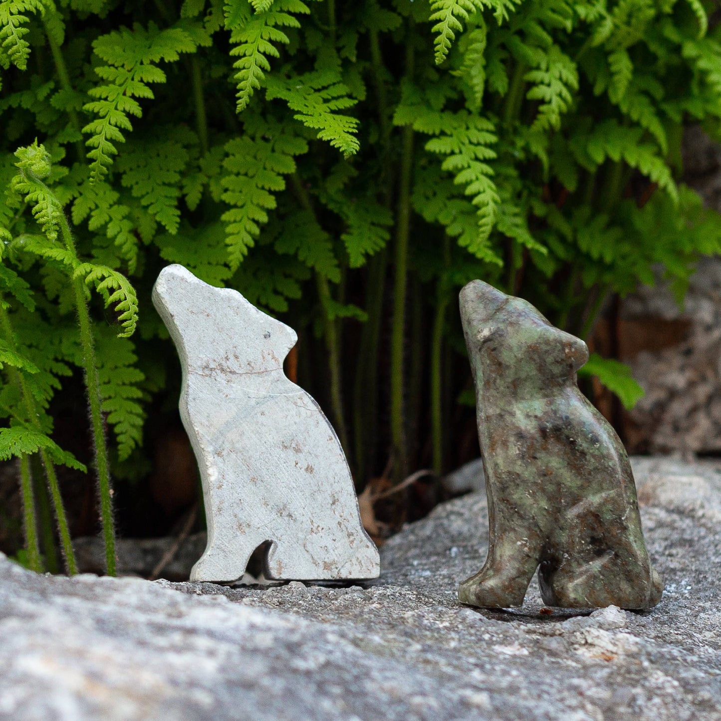 Bear & Wolf Soapstone Carving Kit