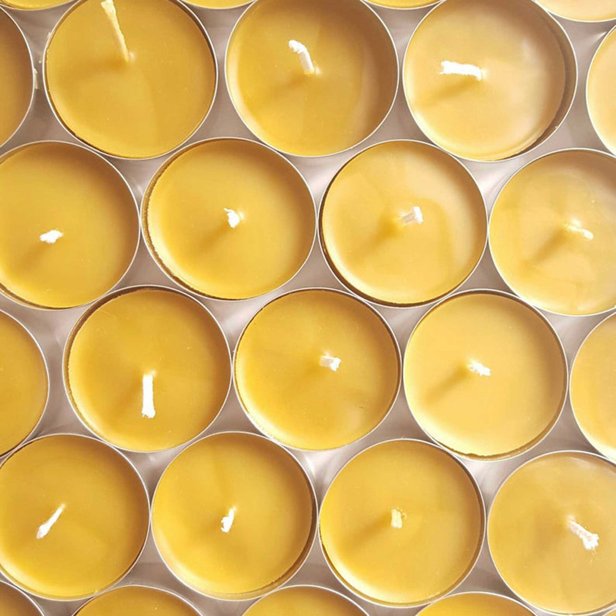 Bees Wax 6 pack