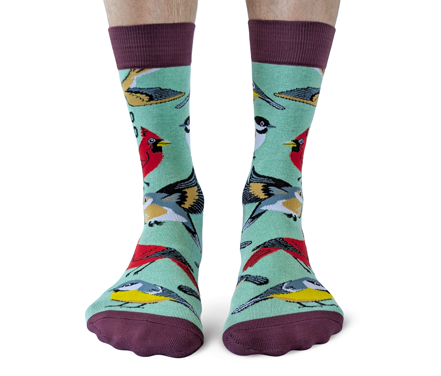 Bird Nerd Socks - M/L (Men)