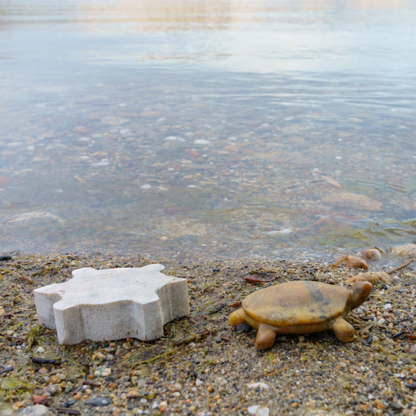 Turtle Soapstone Carving Kit