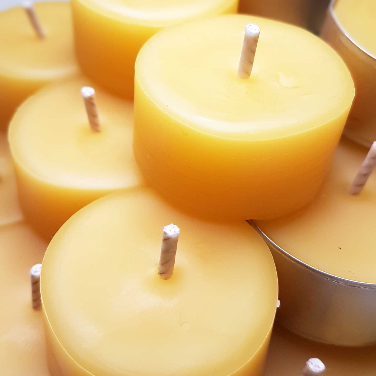 Bees Wax 6 pack