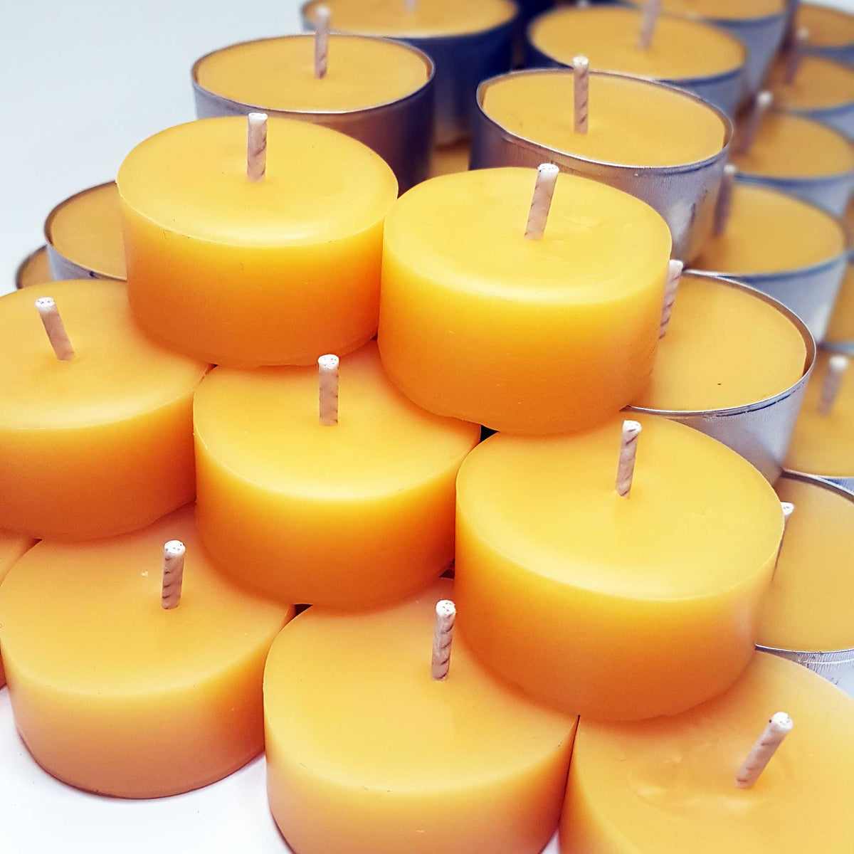 Bees Wax 6 pack