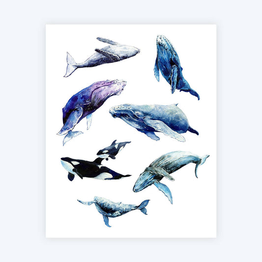 Whale Set Watercolor Art Print