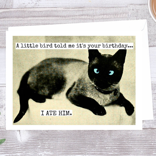 A Little Bird Told Me It's Your Birthday...