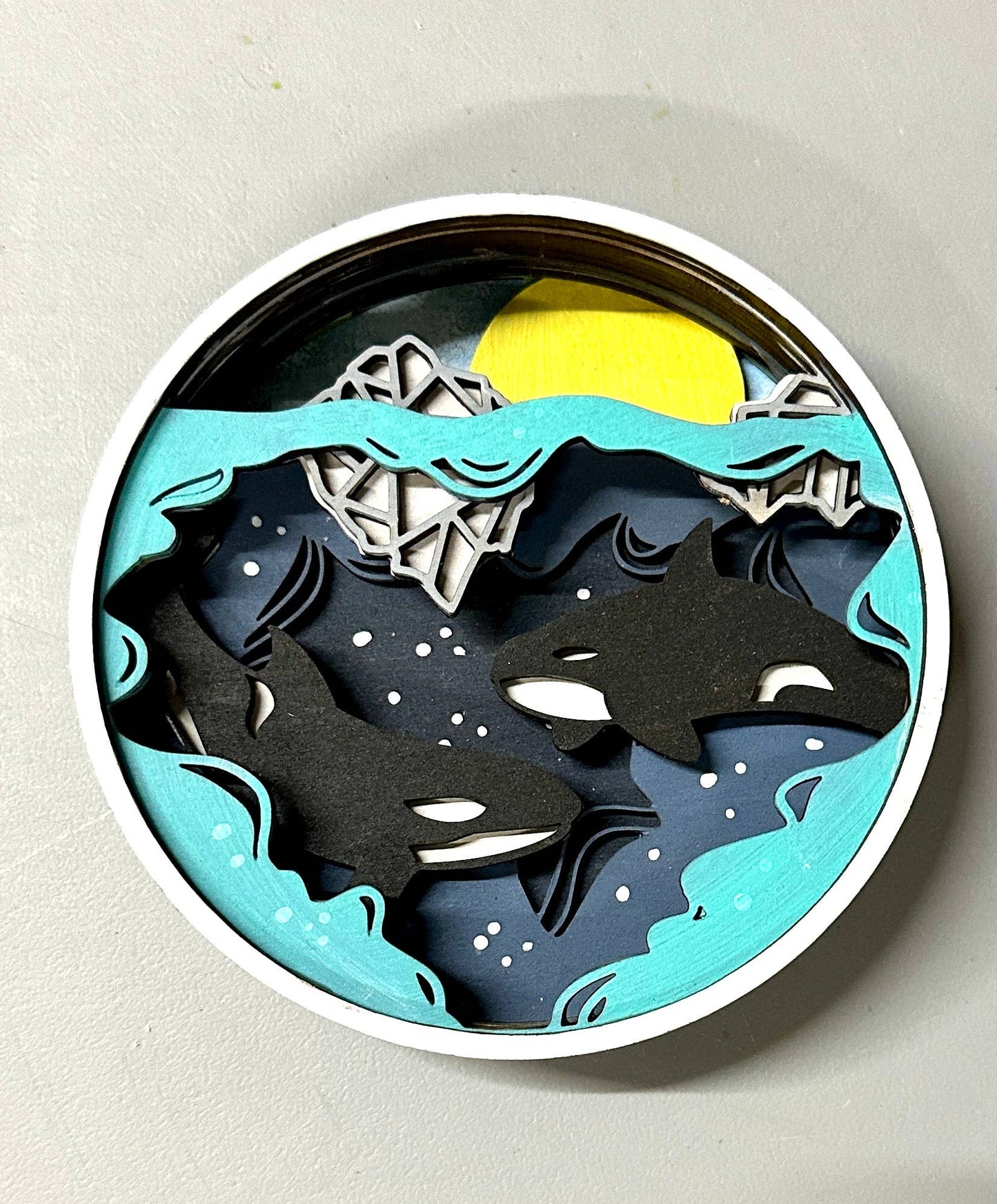 Orca Shadow Box Kit