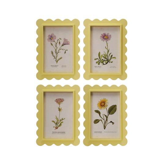 Framed Botanical Print