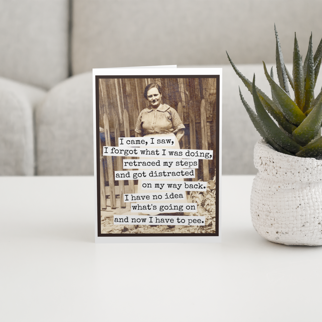 Funny Greeting Card. I Came, I Saw, I Forgot What I Was Doin