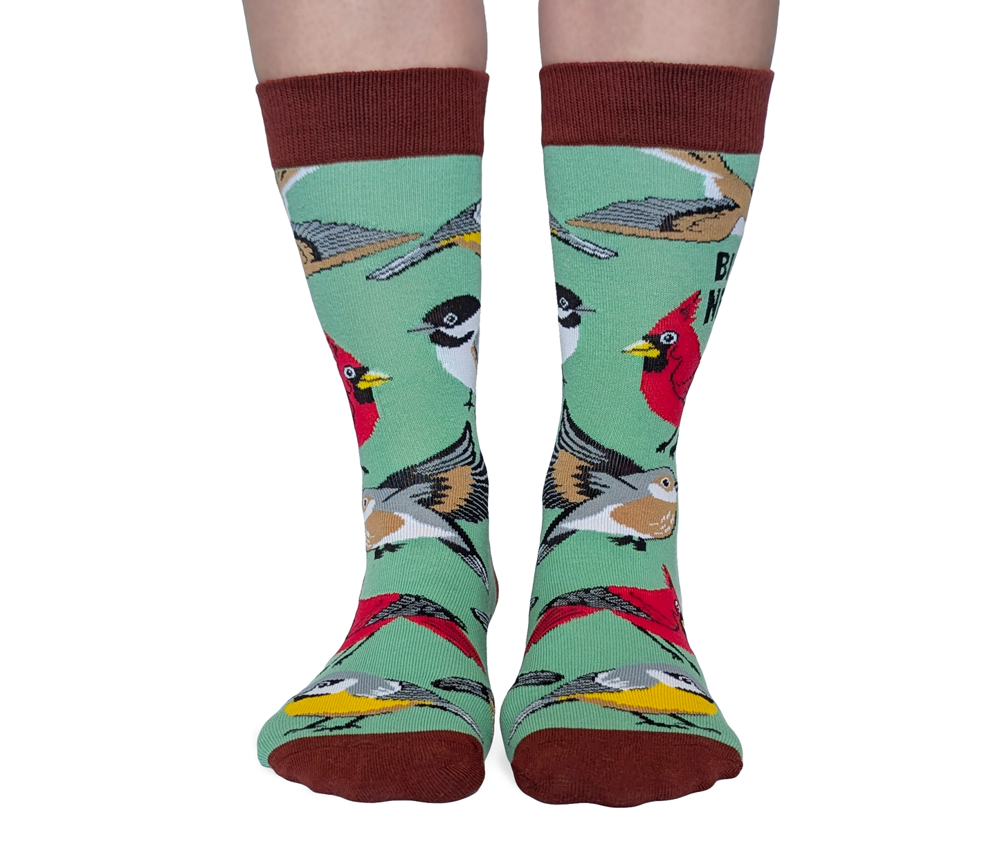Bird Nerd Socks - S/M (Women)