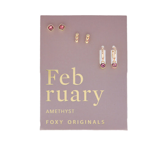 February Birthstone Earrings